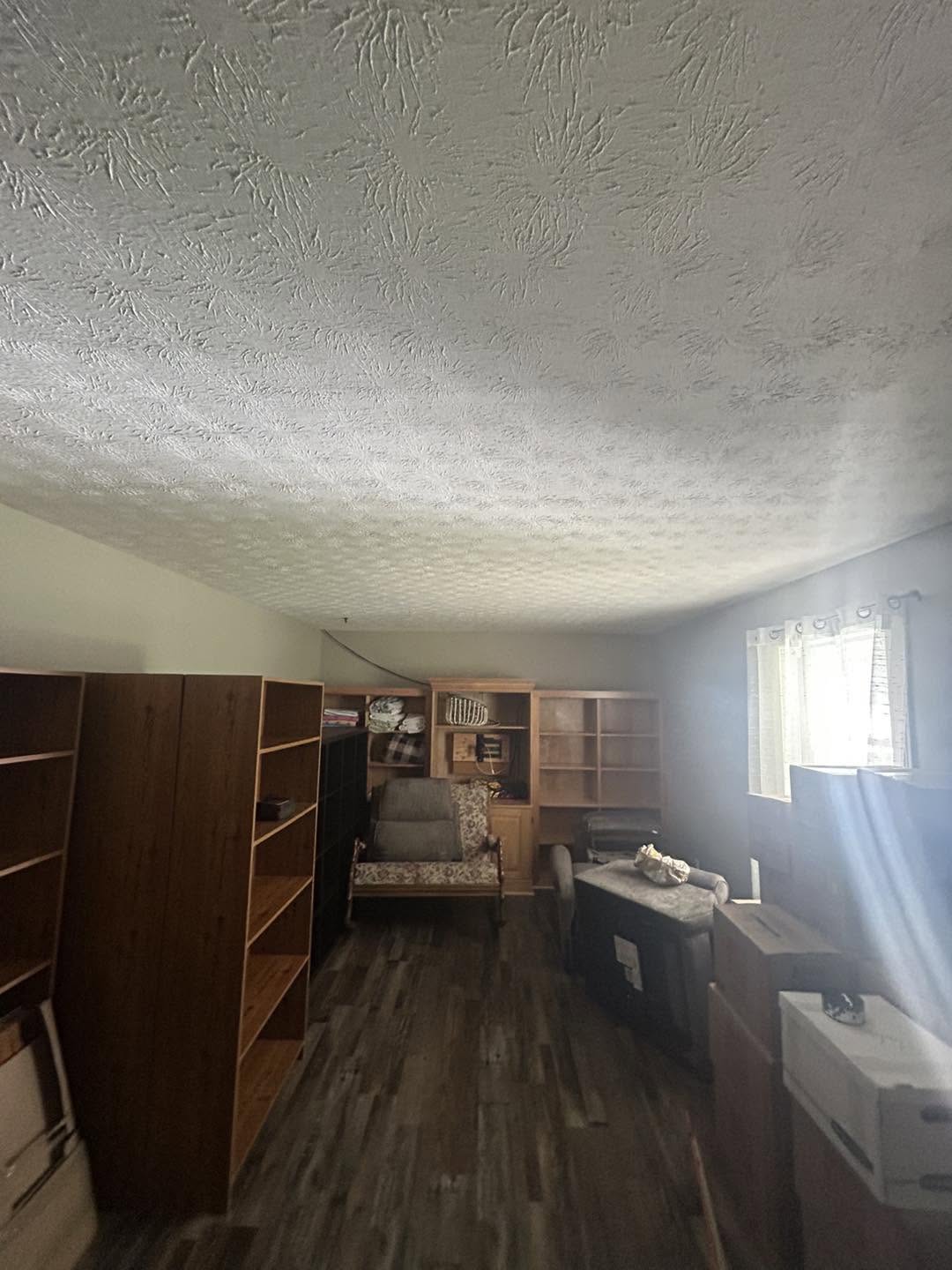 ceiling fan before